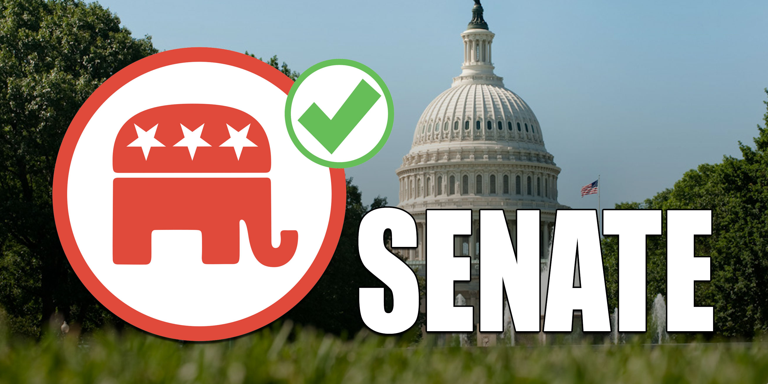 Douglas Andrews: The Senate: Here's What You Need to Know - Vimarsana News