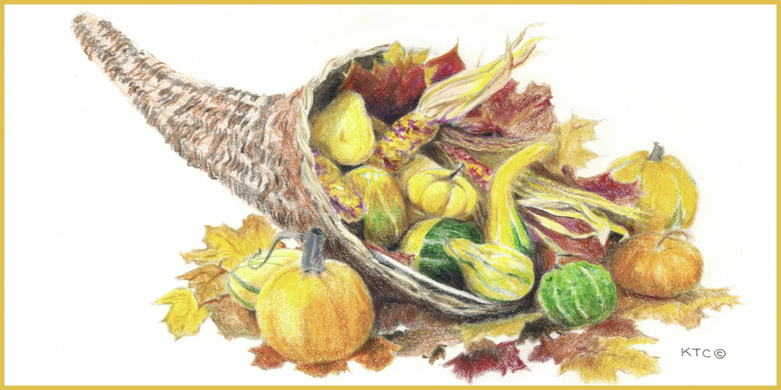 Mark Alexander: Thanksgiving: Fear Fades in the Light of Gratitude and Hope - Vimarsana News
