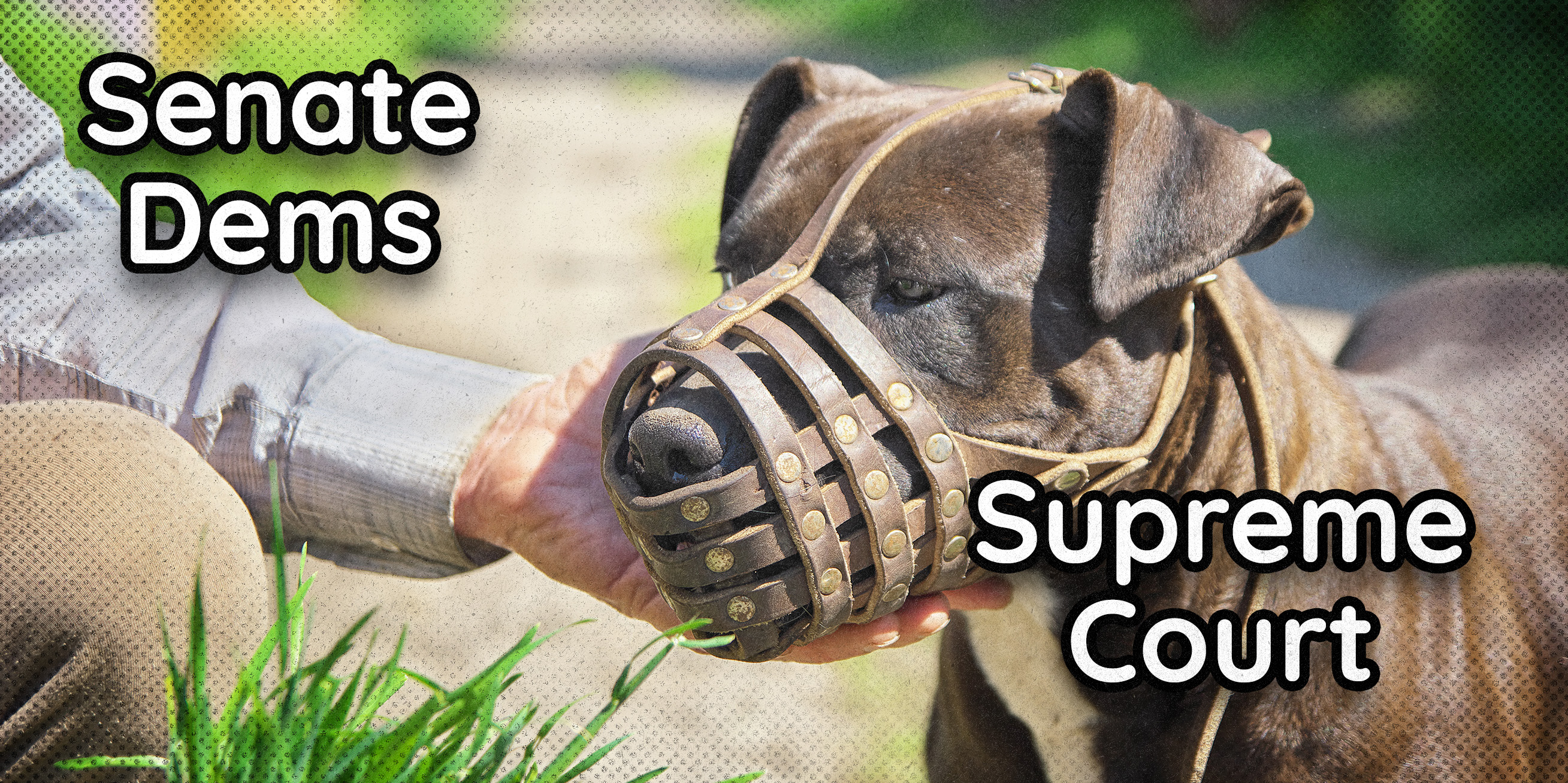 Douglas Andrews: Democrats' Latest Plan to Scuttle SCOTUS - Vimarsana News