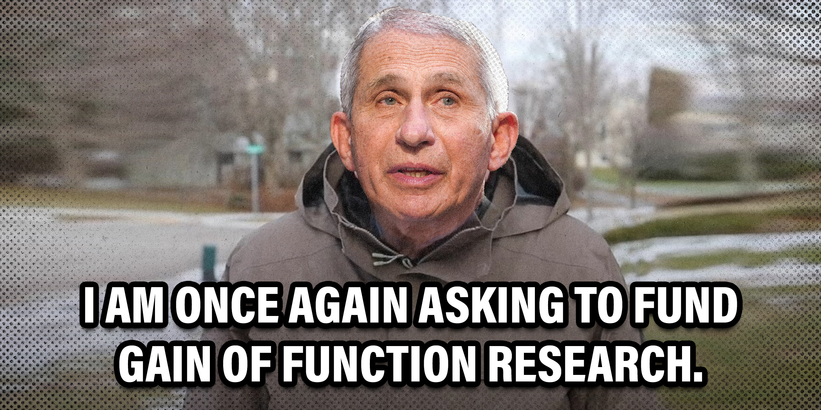 Thomas Gallatin: NIH Funding a Bat Lab in Colorado - Vimarsana News
